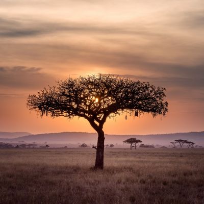 Занзибар, Танзания